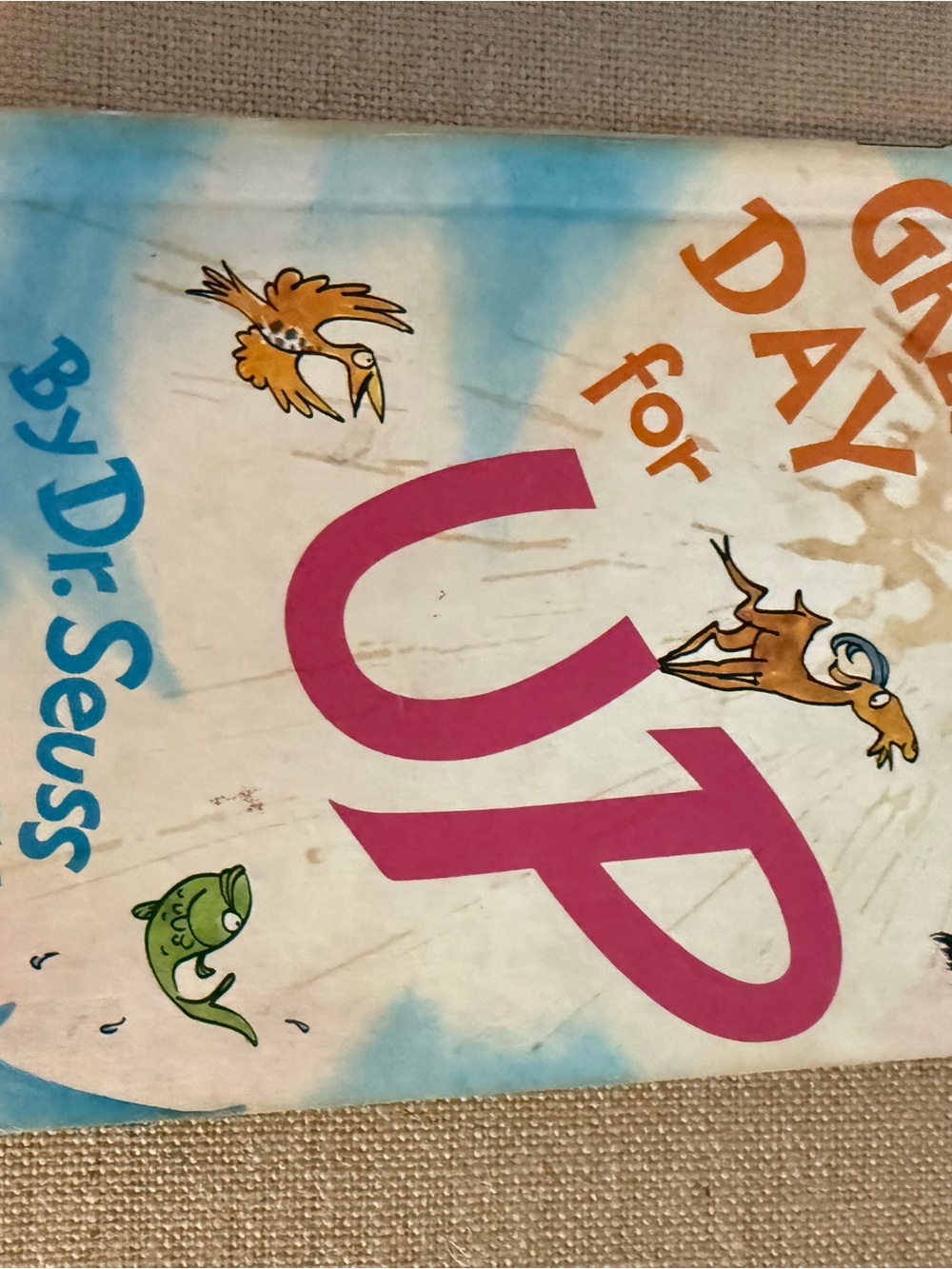 Dr. Seuss Bright Pink and Blue Illustrated Cover Art